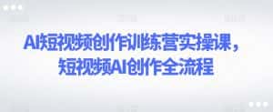 AI短视频创作训练营实操课，短视频AI创作全流程-优优云创网