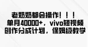 老奶奶都会操作,新平台无脑操作,单月40000+,vivo短视频创作分成计划【揭秘】-优优云创网
