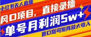 风口项目,小红书无人直播带货,直接录播,可矩阵,月入5w+【揭秘】-优优云创网