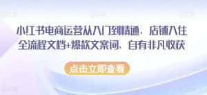 小红书电商运营从入门到精通,店铺入住全流程文档+爆款文案词,自有非凡收获-优优云创网