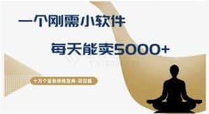十万个富翁修炼宝典之17.一个刚需小软件,每天能卖5000+-优优云创网