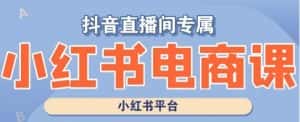 小红书电商高级运营课程,实操教学+案例分析-优优云创网