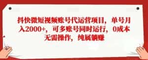 抖快微短视频账号代运营项目，单号月入2000+，可多账号同时运行，0成本无需操作，纯属躺赚【揭秘】-优优云创网