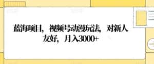蓝海项目，视频号动漫玩法，对新人友好，月入3000+【揭秘】-优优云创网