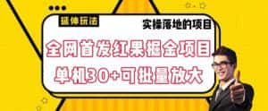 全网首发红果免费短剧掘金项目，单机30+可批量放大【揭秘】-优优云创网
