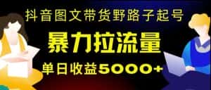 抖音图文带货暴力起号,单日收益5000+,野路子玩法,简单易上手,一部手机即可【揭秘】-优优云创网