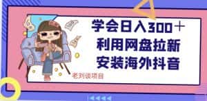 学会日入300+,利用网盘拉新安装海外抖音保姆级教学【揭秘】-优优云创网