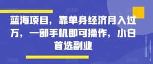 蓝海项目，靠单身经济月入过万，一部手机即可操作，小白首选副业【揭秘】-优优云创网