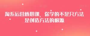 淘系运营核心课,你学的不是只方法是创造方法的根源-优优云创网
