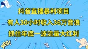 抖音直播暴利项目,有人30小时收入36万音浪,公司宣传片年会视频制作,抓住年底一波流量大红利【揭秘】-优优云创网