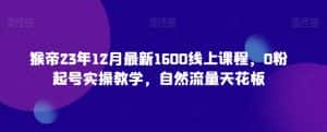 猴帝23年12月最新1600线上课程，0粉起号实操教学，自然流量天花板-优优云创网
