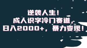 逆袭人生!成人识字冷门赛道,日入2000+,暴力变现!【揭秘】-优优云创网