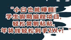 小白也能赚翻!学生假期编程项目,轻松复制粘贴,年货钱轻松到手2W+【揭秘】-优优云创网