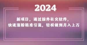 2024新项目,通过国外社交软件,快速涨粉精准引流,轻松做到月入上万【揭秘】-优优云创网