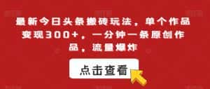最新今日头条搬砖玩法,单个作品变现300+,一分钟一条原创作品,流量爆炸【揭秘】-优优云创网