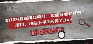 2024最新风口项目，视频号变老特效项目，电脑小白上手3天卖了3w+，保姆级教程【揭秘】-优优云创网