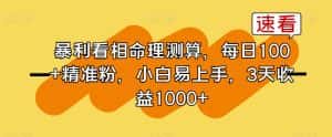 暴利看相命理测算,每日100+精准粉,小白易上手,3天收益1000+【揭秘】-优优云创网