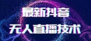 2024最新女生无声版无人直播全套教程，疯狂撸音浪【揭秘】-优优云创网