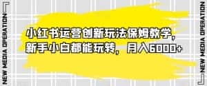 小红书运营创新玩法保姆教学,新手小白都能玩转,月入6000+【揭秘】-优优云创网