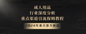 2024年重点潜力赛道,成人用品行业深度分析,重点渠道引流保姆教程【揭秘】-优优云创网