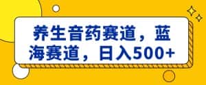养生音药赛道,蓝海赛道,日入500+【揭秘】-优优云创网
