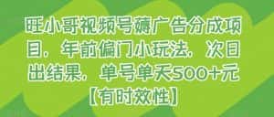 旺小哥视频号薅广告分成项目,年前偏门小玩法,次日出结果,单号单天500+元【有时效性】-优优云创网
