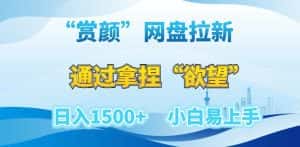 “赏颜”网盘拉新赛道，通过拿捏“欲望”日入1500+，小白易上手【揭秘】-优优云创网