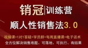 爆款!销冠训练营3.0之顺人性销售法,全方位解决销售难题、可落地、可执行、有结果-优优云创网