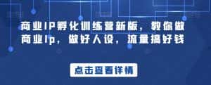 商业IP孵化训练营新版,教你做商业Ip,做好人设,流量搞好钱-优优云创网