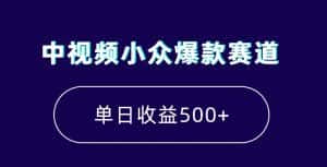 中视频小众爆款赛道，7天涨粉5万+，小白也能无脑操作，轻松月入上万【揭秘】-优优云创网