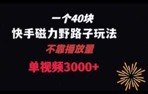 一个40块,快手联合美团磁力新玩法,无视机制野路子玩法,单视频收益4位数【揭秘】-优优云创网