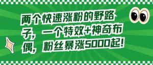 两个快速涨粉的野路子,一个特效+神奇布偶,粉丝暴涨5000起-优优云创网