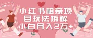 小红书相亲项目玩法拆解，有人通过这个副业项目做到了月收入2万多-优优云创网