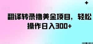 翻译转录撸美金项目,轻松操作日入300+-优优云创网