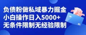 负债粉私域暴力掘金,小白操作入5000,无经验限制,无条件限制-优优云创网