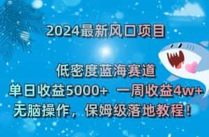 2024最新风口项目,低密度蓝海赛道,单日收益5000+,一周收益4w+!-优优云创网