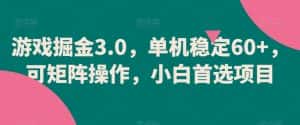 游戏掘金3.0，单机稳定60+，可矩阵操作，小白首选项目-优优云创网