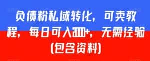 负债粉私域转化,可卖教程,每日可入2000+,无需经验(包含资料)-优优云创网