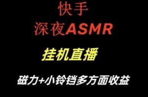 快手深夜性感ASMR挂机直播，磁力+小铃铛收益（附带工具和5G素材）-优优云创网