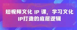 短视频文化IP课,学习文化IP打造的底层逻辑-优优云创网