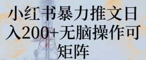 小红书暴力推文日入200+无脑操作可矩阵-优优云创网