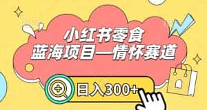 小红书零食蓝海项目—情怀赛道，0门槛，日入300+-优优云创网