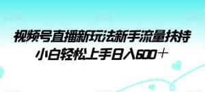 视频号直播新玩法新手流量扶持小白轻松上手日入600+-优优云创网
