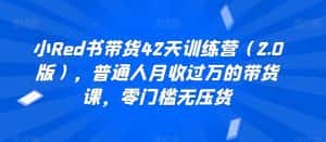 小Red书带货42天训练营（2.0版），普通人月收过万的带货课，零门槛无压货-优优云创网