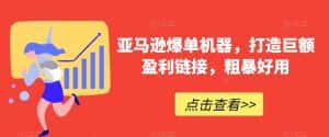 亚马逊爆单机器,打造巨额盈利链接,粗暴好用-优优云创网