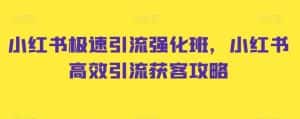 小红书极速引流强化班,小红书高效引流获客攻略-优优云创网