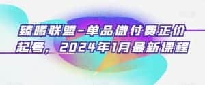 臻曦联盟-单品微付费正价起号,2024年1月最新课程-优优云创网