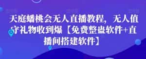 天庭蟠桃会无人直播教程，无人值守礼物收到爆【免费整蛊软件+直播间搭建软件】-优优云创网