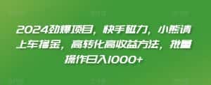 2024劲爆项目,快手磁力,小熊请上车撸金,高转化高收益方法,批量操作日入1000+-优优云创网