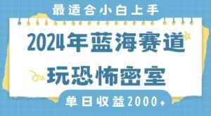 2024年蓝海赛道玩恐怖密室日入2000+,无需露脸,不要担心不会玩游戏,小白直接上手,保姆式教学-优优云创网